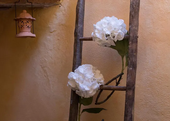 Casa Benoi Feriehus Rigomagno