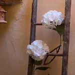 Casa Benoi Tatil Evi Rigomagno