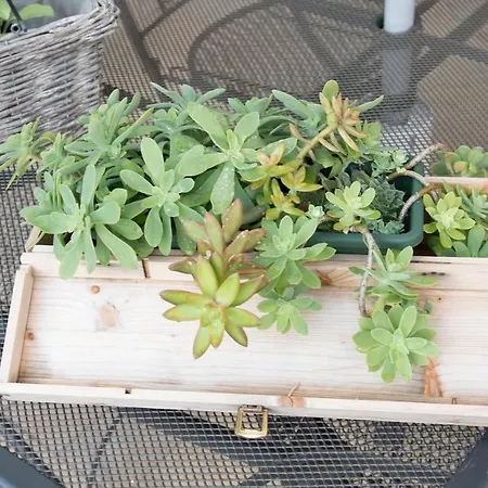 Casa Benoi * Rigomagno