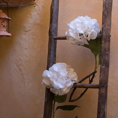 Casa Benoi Casa vacanze Rigomagno